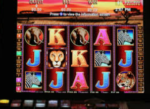 掌中彩welcome电脑免费版