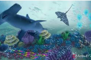 掌中彩welcome2024最新版